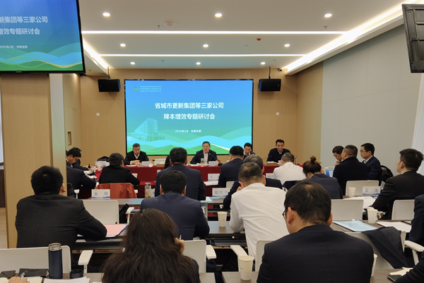 聚力攻堅(jiān)降成本 深化改革增效益——省城市更新集團(tuán)等三家公司召開(kāi)降本增效專(zhuān)題研討會(huì)