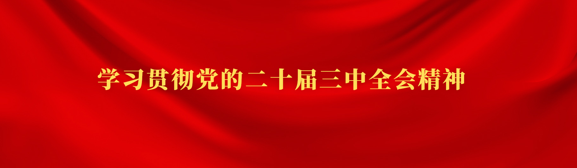 學(xué)習(xí)貫徹黨的二十屆三中全會(huì)精神