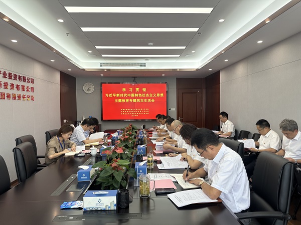 安徽鹽業(yè)地產(chǎn)集團等三家公司黨委召開學(xué)習(xí)貫徹習(xí)近平新時代中國特色社會主義思想主題教育專題民主生活會